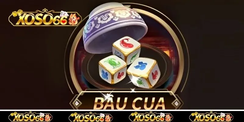 Lựa chọn cửa