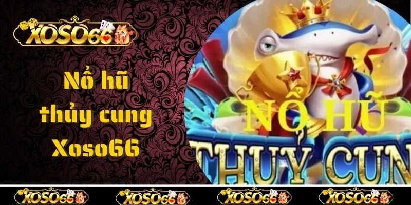 Lý do nên quay hũ thủy cung tại Xoso66