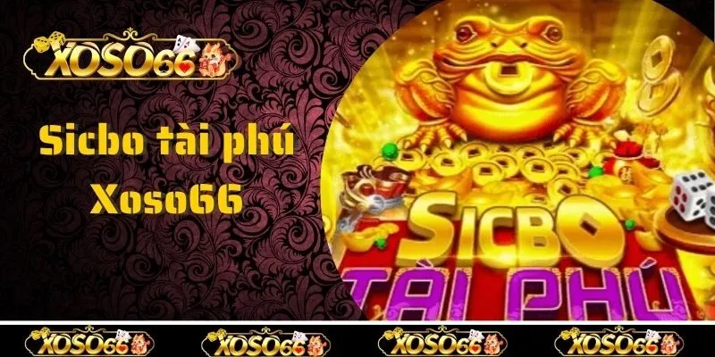Tại sao nên chọn Xoso66 để chơi tài phú sicbo?