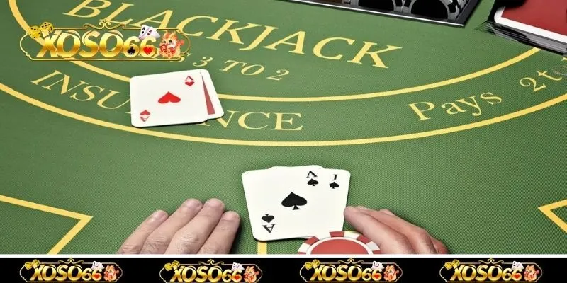 Các tùy chọn trong một ván cược