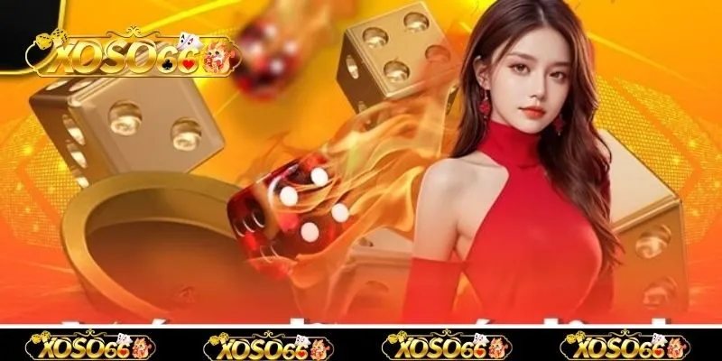 Một số mẹo đánh xóc đĩa tứ linh giúp thắng đậm