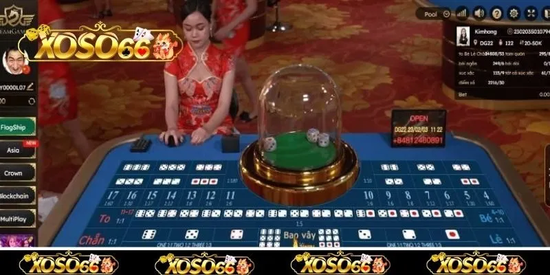 Các cửa cược thường gặp